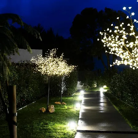 Ama Guadalupekoa Hondarribia