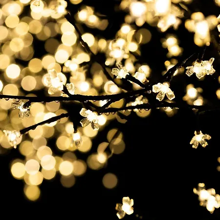 Ama Guadalupekoa * Hondarribia