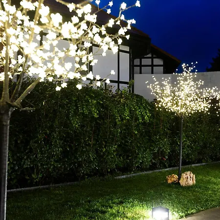 Ama Guadalupekoa Apartman